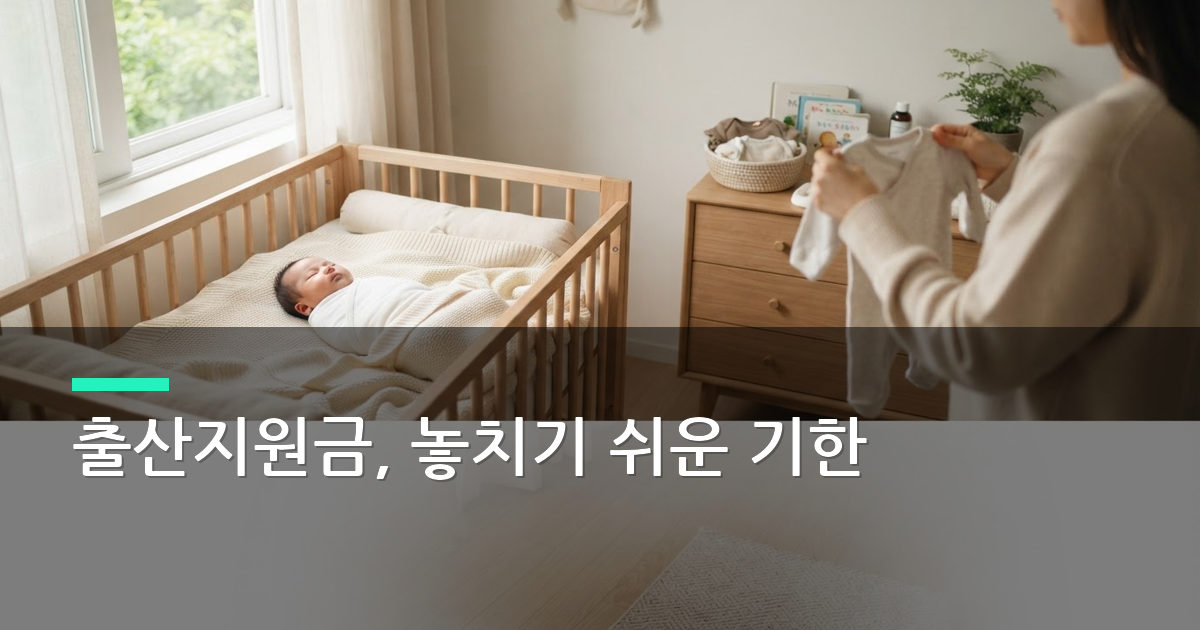 자녀 출산 지원금 신청 방법, 60일 안에 챙겨야 할 것들